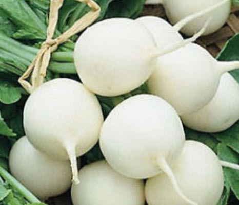 ไชเท้า เชอรี่ เบลล์ (Cherry Belle) คละ / 200 เม็ด (นอก)