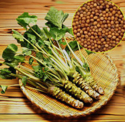 วาซาบิ (Wasabi) / 100 เม็ด