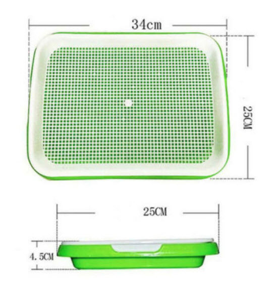 ถาดเพาะเมล็ด