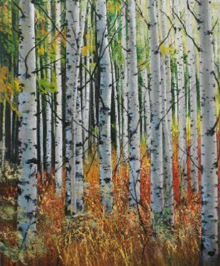 ไวท์เบิร์ช หรือซิลเวอร์เบิร์ช (White Birch / Silver Birch) / 20 เม็ด