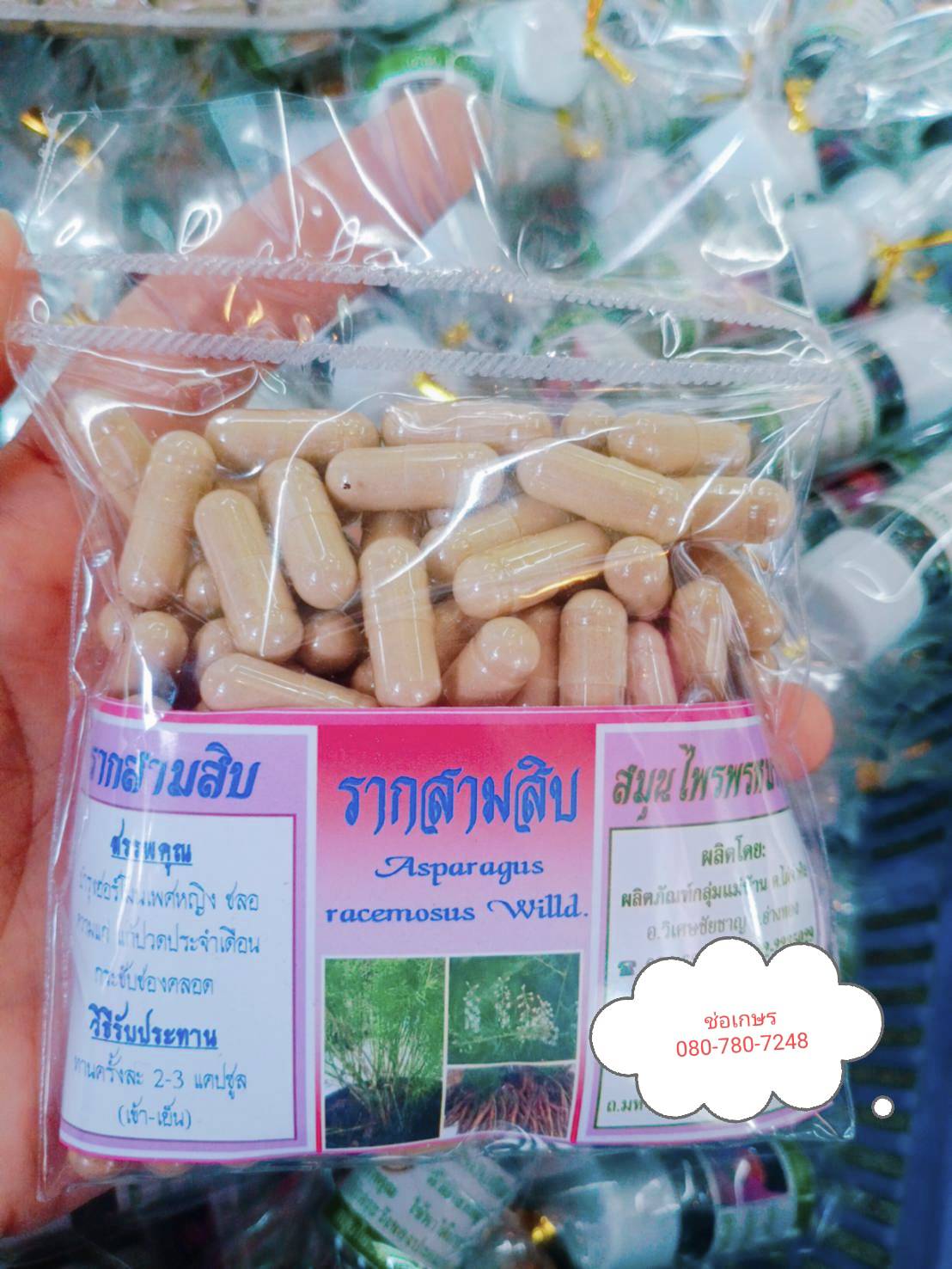 รากสามสิบ พรหมรังสี