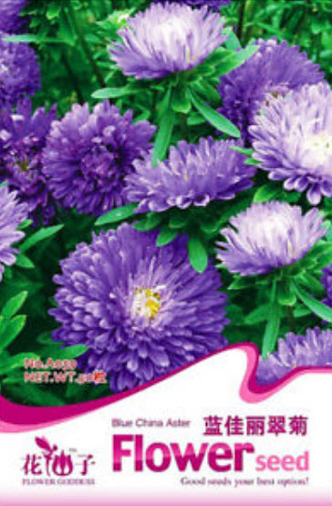 แอสเตอร์ (Aster) สีฟ้า / ซอง 50 เม็ด (A059)