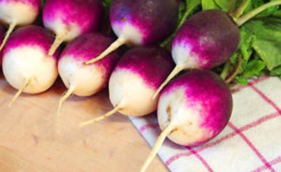 ไชเท้า ไดอาน่า (Radish - Diana) สีม่วง / 100 เม็ด (UK)