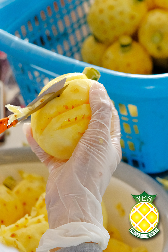 Yes Phulae Pineapple Facebook Page