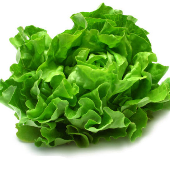 ผักกาดโรเมน (Romaine Lettuce) / 400 เม็ด (S001)