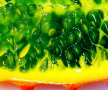 แตงหนาม/คิวาโน (Kiwano) / 10 เม็ด (UK)