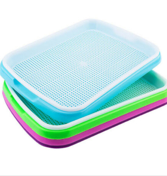 ถาดเพาะเมล็ด