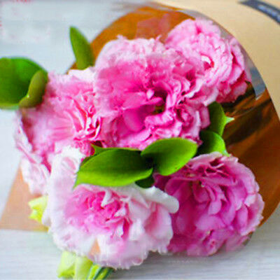 ไลซิแอนธัส (Lisianthus) คละ / 50 เม็ด