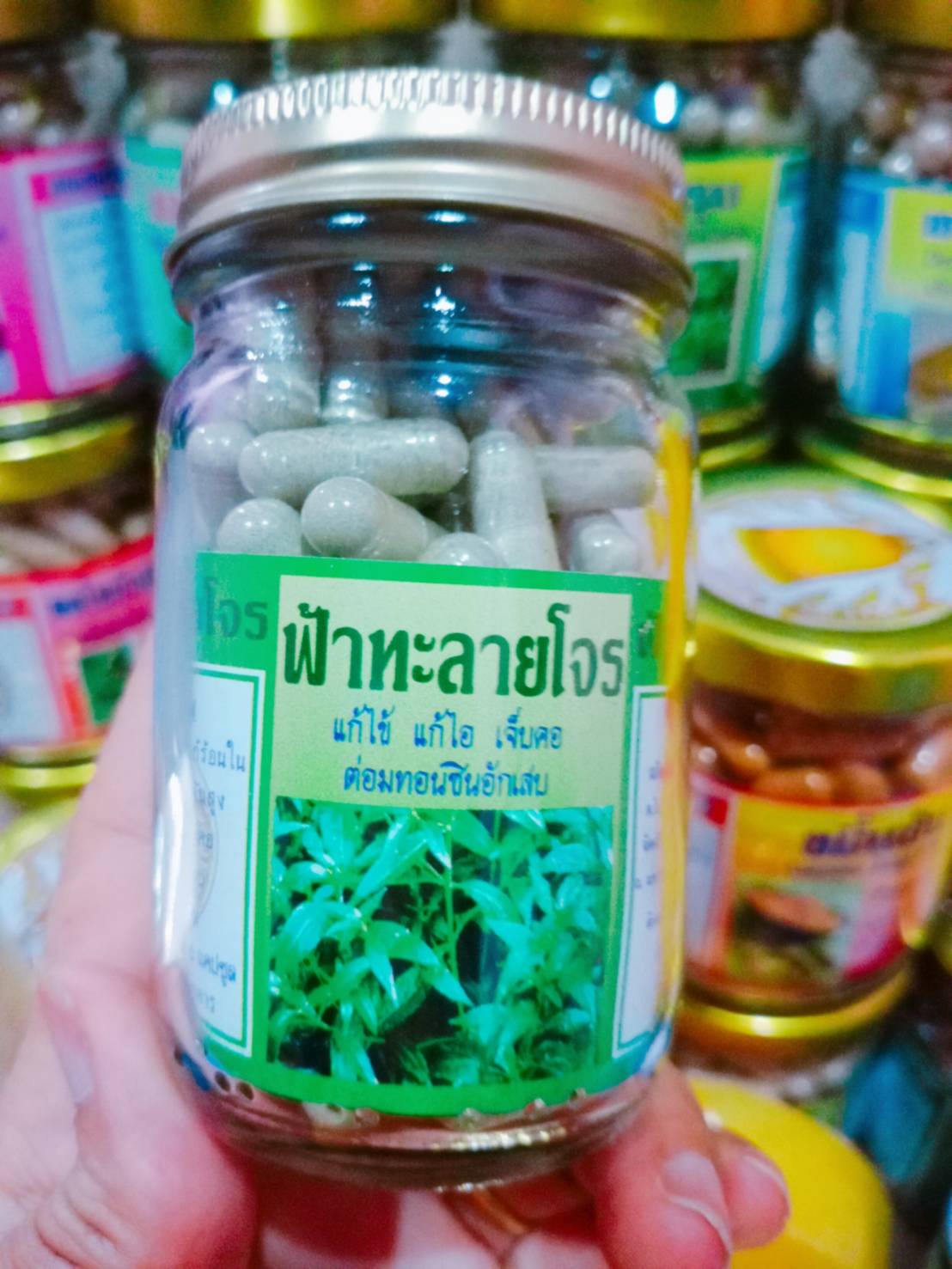 ฟ้าทะลายโจร สมุนไพรพรหมรังสี