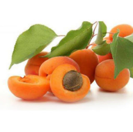 แอพปริคอท (Apricot) / 10 เม็ด