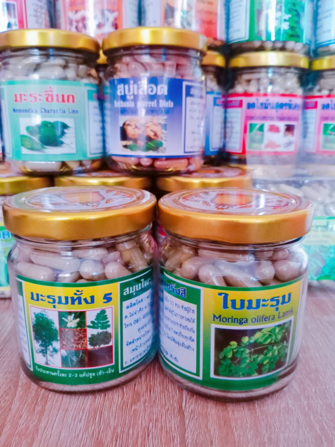 ใบมะรุม สมุนไพรพรหมรังสี