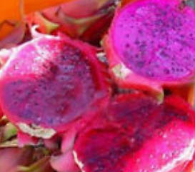 แก้วมังกรม่วง (Purple Pitaya) / 100 เม็ด