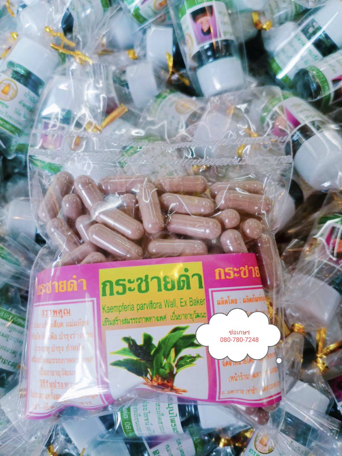 กระชายดำ พรหมรังสี