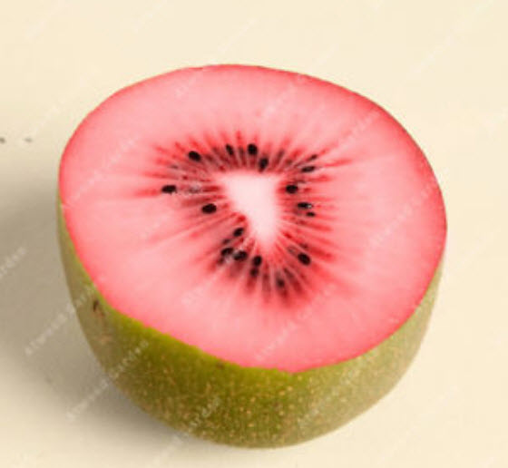 กีวี่ (Kiwi) คละสี / 50 เม็ด (นอก)