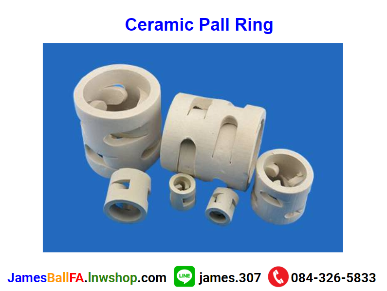 Ceramic Pall Ring แหวนโลหะแหวนพอล