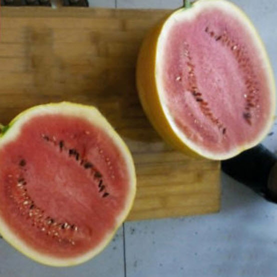 แตงโม เปลือกเหลือง เนื้อแดง / 10 เม็ด