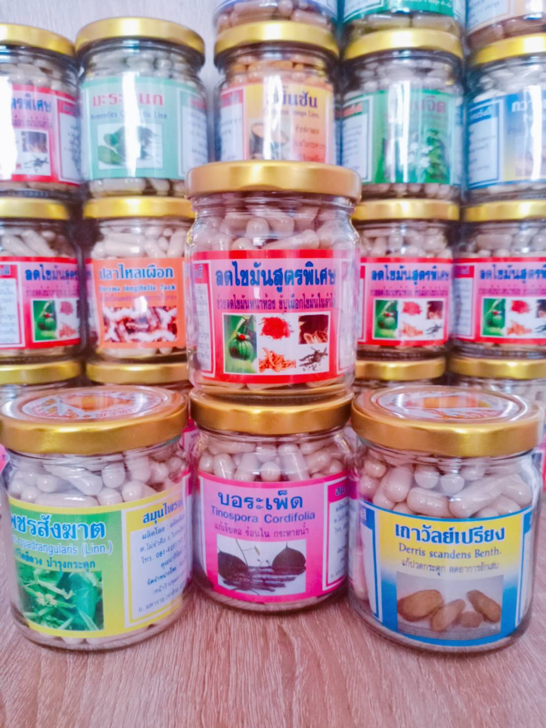 บอระเพ็ด สมุนไพรพรหมรังสี