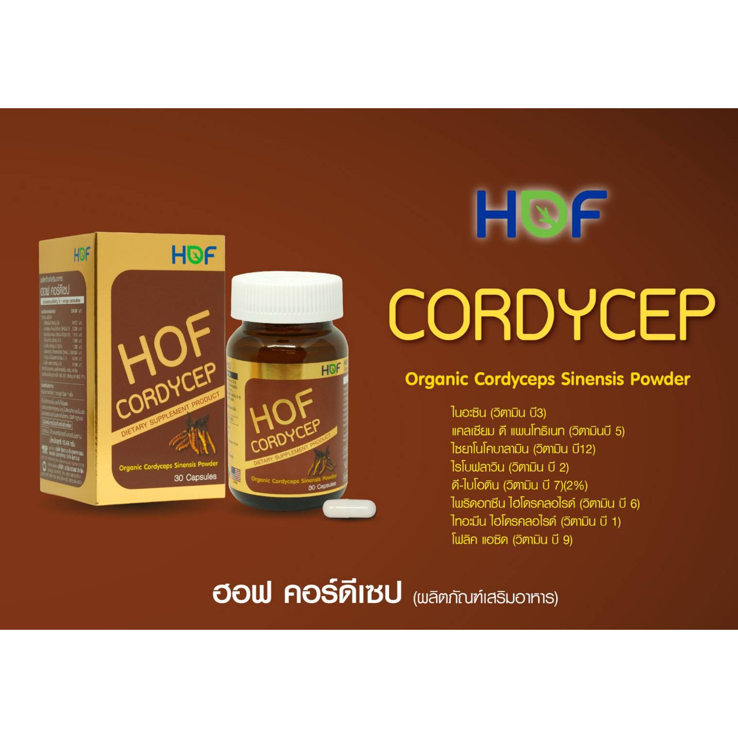 HOF CORDYCEP ถั่งเช่าออแกนิค ผสมวิตามินรวม