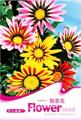 กาซาเนีย (Gazania) คละ / ซอง 50 เม็ด (A029)