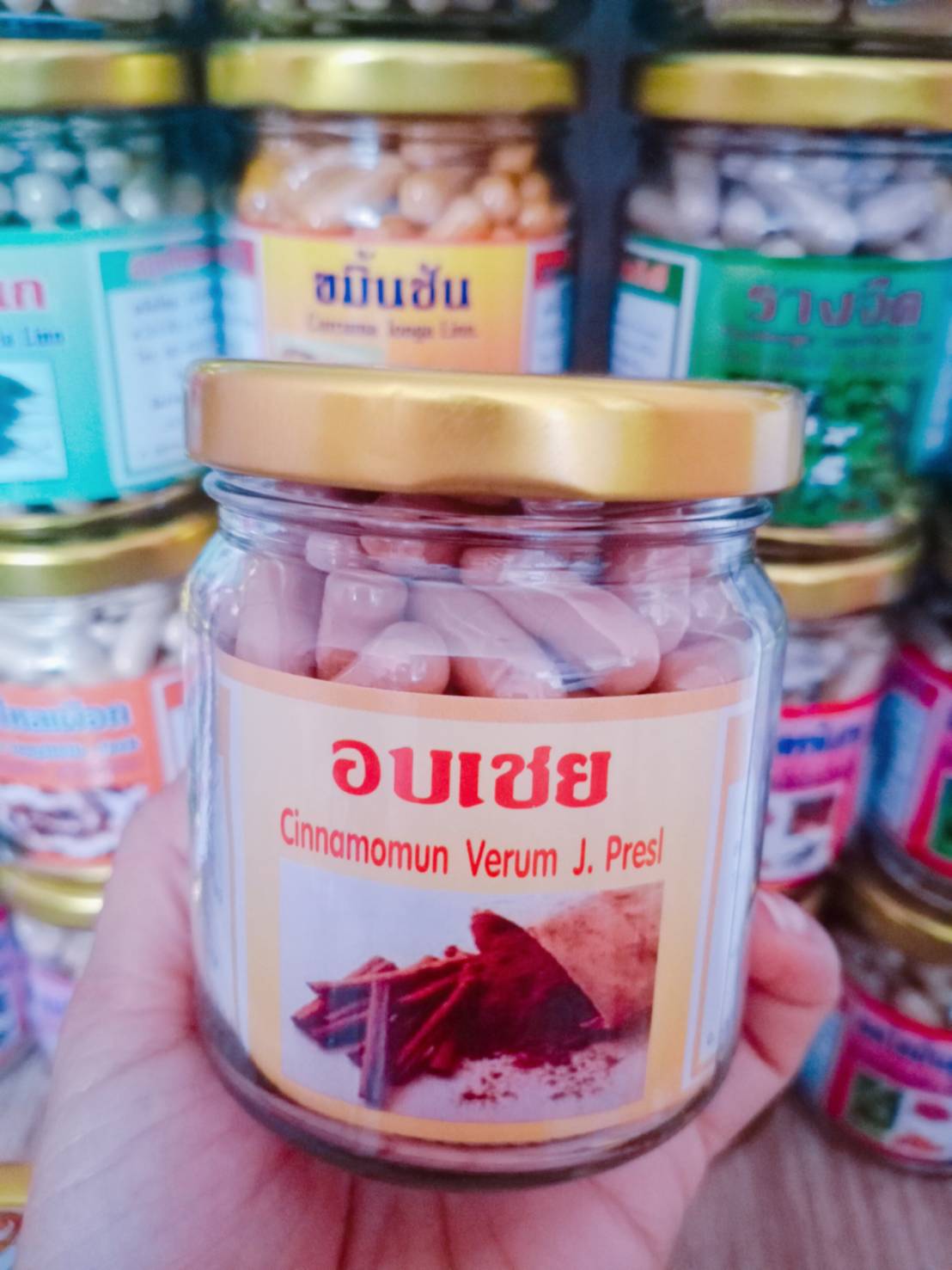 อบเชย สมุนไพรพรหมรังสี