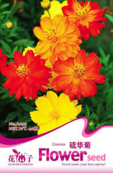 ดาวกระจาย (Cosmos) คละ / ซอง 50 เม็ด (A095)