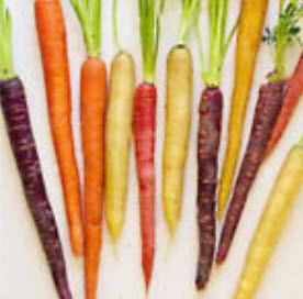 แครอท แฟนซี (rainbow carrot) / 200 เม็ด