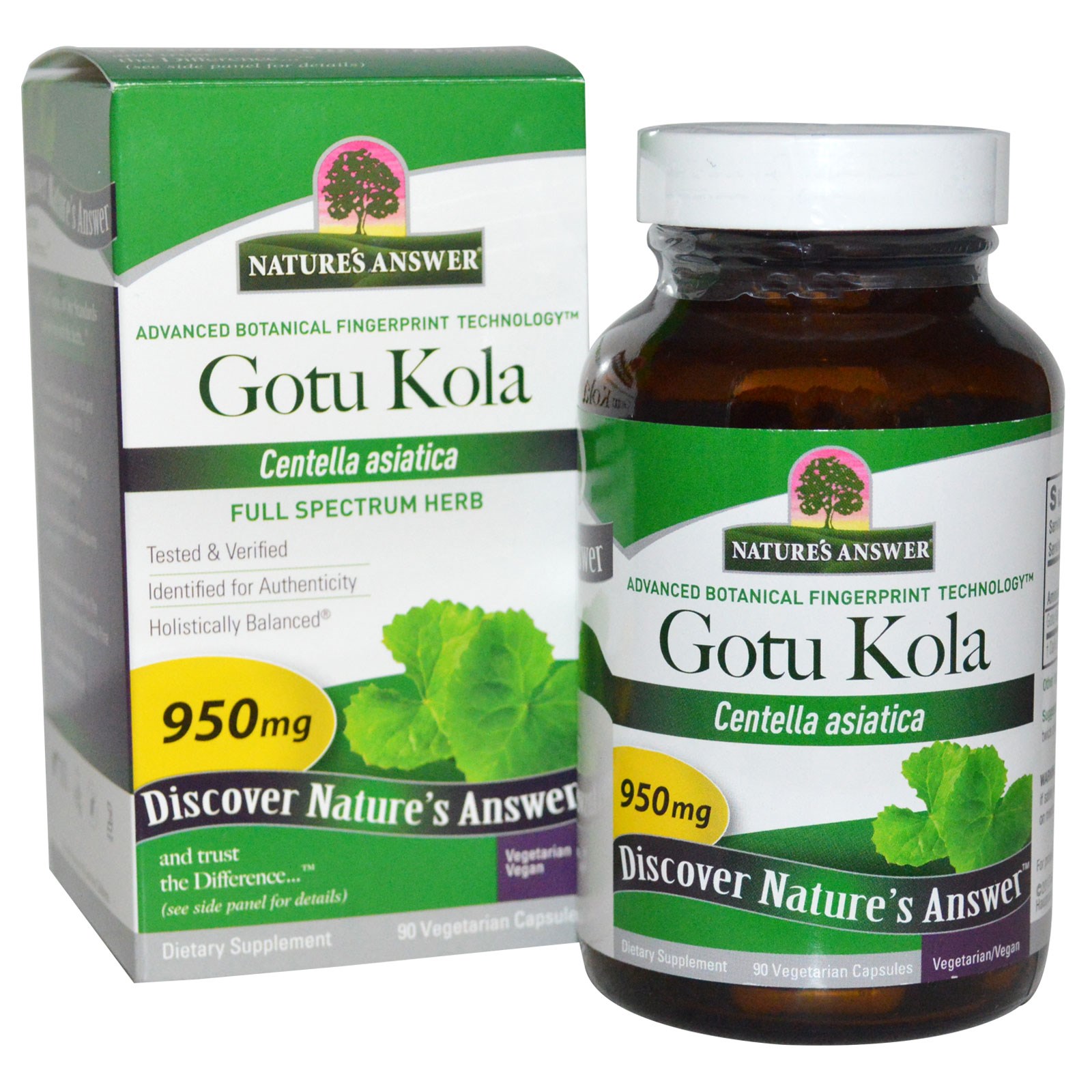 โกทูโคลา - สมุนไพรโรคหนังแข็ง Nature's Answer, Gotu Kola, 950 mg, 90 Veggie Caps