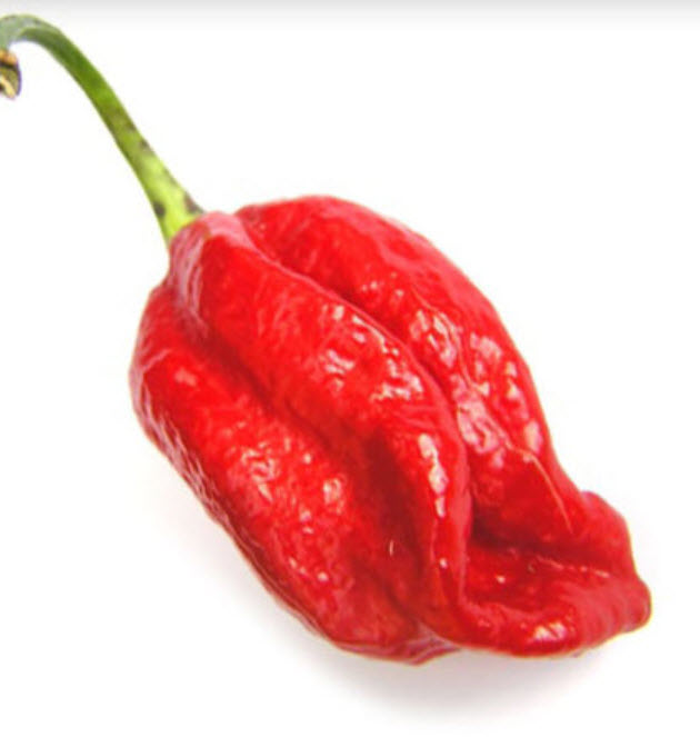 พริก Naga Viper แดง / 10 เม็ด (USA)