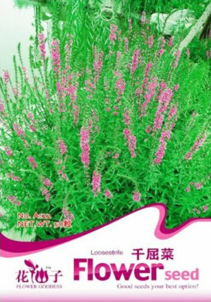 เพอเพิ่ล ลูสสไตร้ฟ (Purple Loosestrife) / ซอง 50 เม็ด (China)
