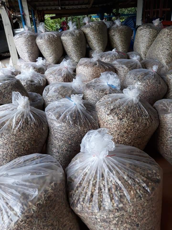 BSS101H : กันกระแทกผักตบชวาหั่นท่อน ราคาส่ง 12 กิโลกรัม