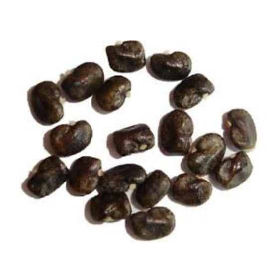 อัญชัน ดอกสีขาว ซ้อน / 20 เม็ด (P2S)