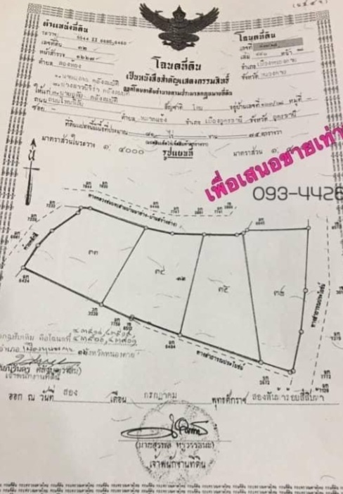 ขายที่ดิน ติดถนน ต,โพนสว่าง อ.เมือง จ.หนองคาย 81 ไร่ ทำเลดี