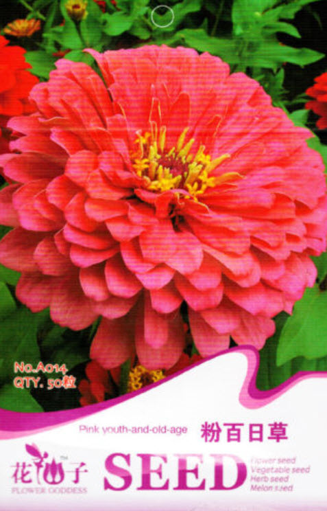 บานชื่น สีชมพูเข้ม ซอง 50 เม็ด (A014)