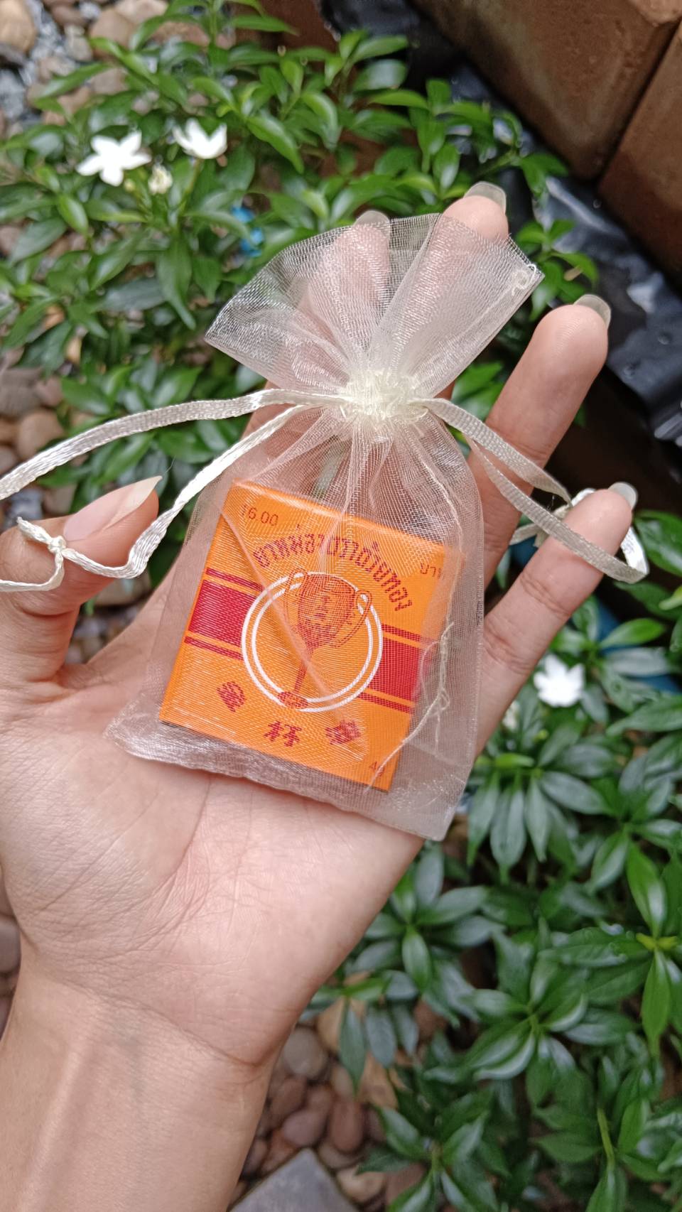 ยาหม่องถ้วยทอง 4 กรัม