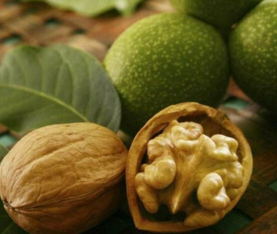 วอลนัท (Walnut) / 2 เม็ด