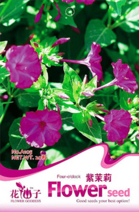 บานเย็น สีม่วง-บานเย็น / ซอง 20 เม็ด (A105)