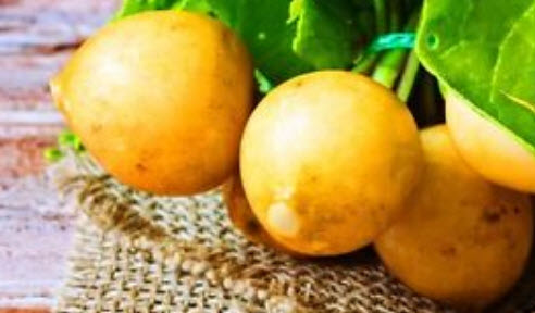 ไชเท้า (Radish) คละสี / 700 เม็ด (UK)