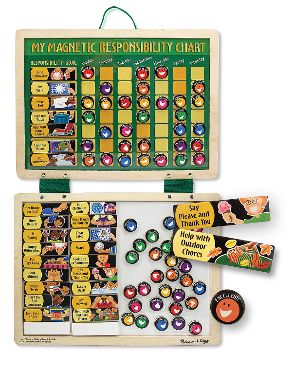 3789 My Magnetic Responsibility Chart