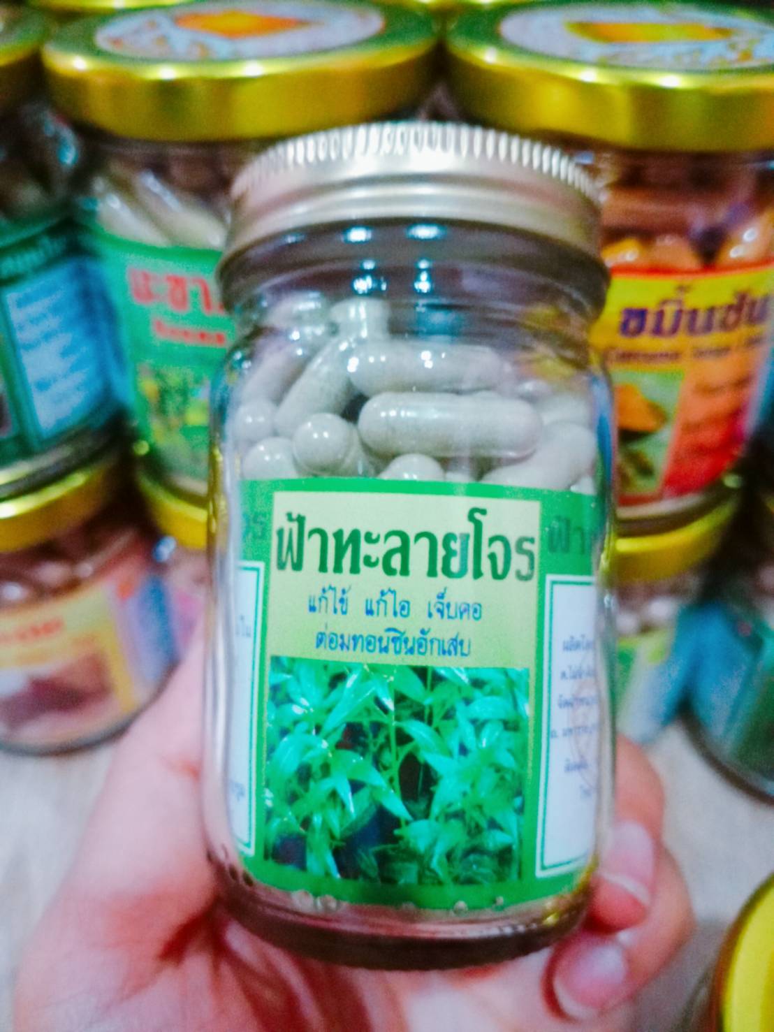 ฟ้าทะลายโจร สมุนไพรพรหมรังสี