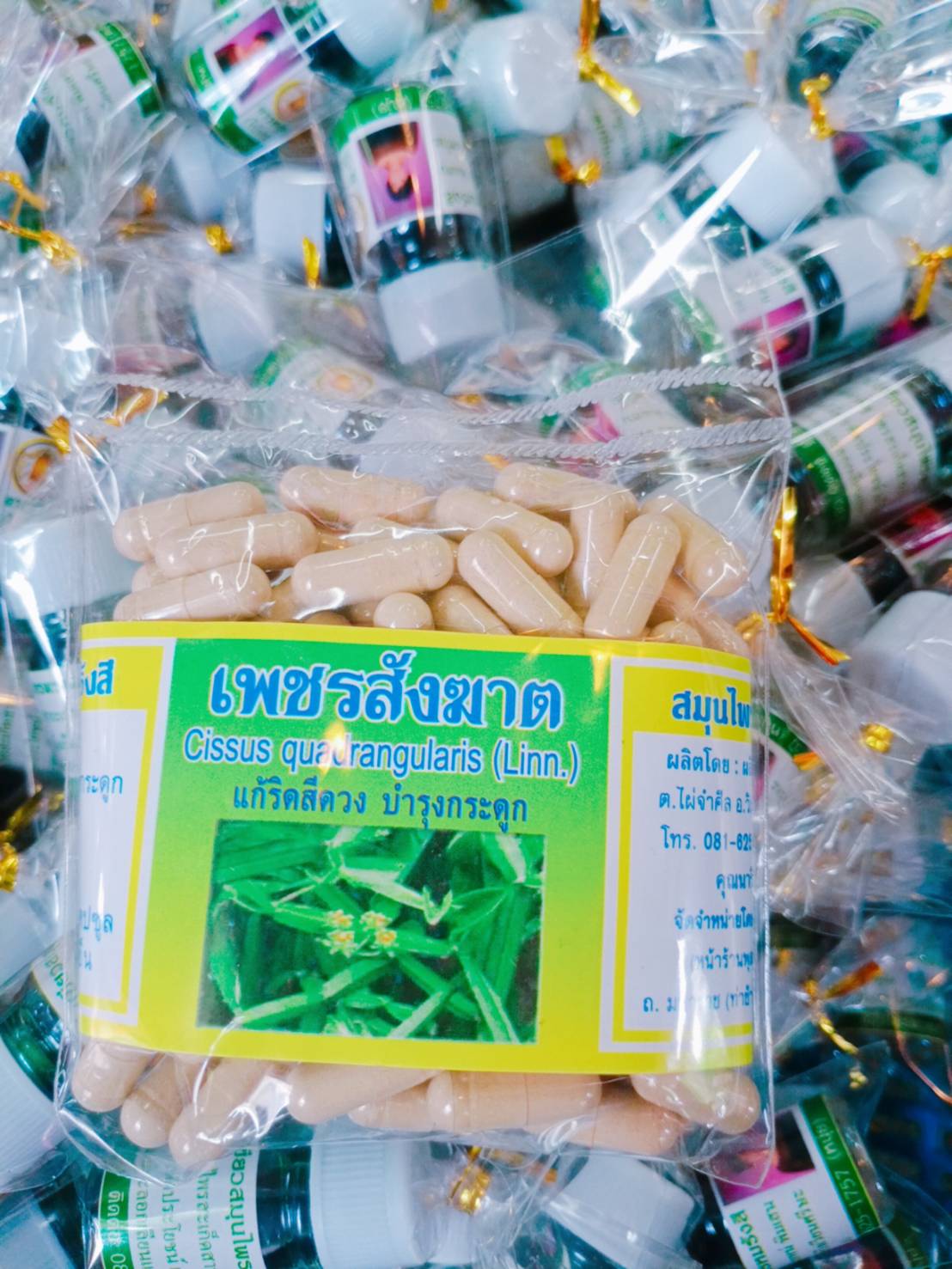 เพชรสังฆาต พรหมรังสี