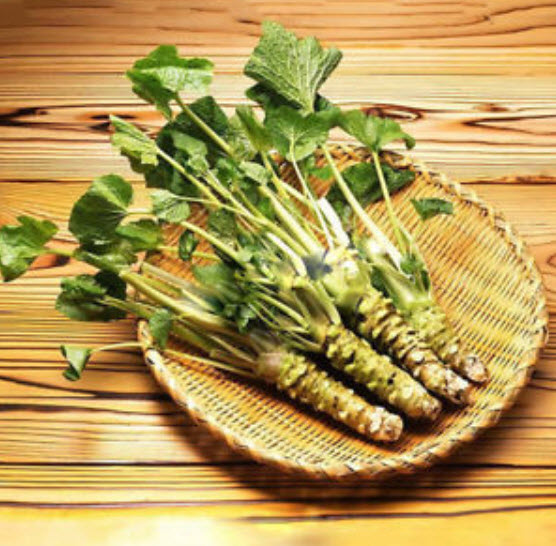 วาซาบิ (Wasabi) / 50 เม็ด