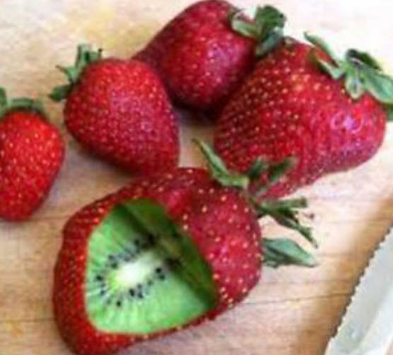 กีวีสตรอเบอรี่ (Strawberry Kiwi) / 100 เม็ด