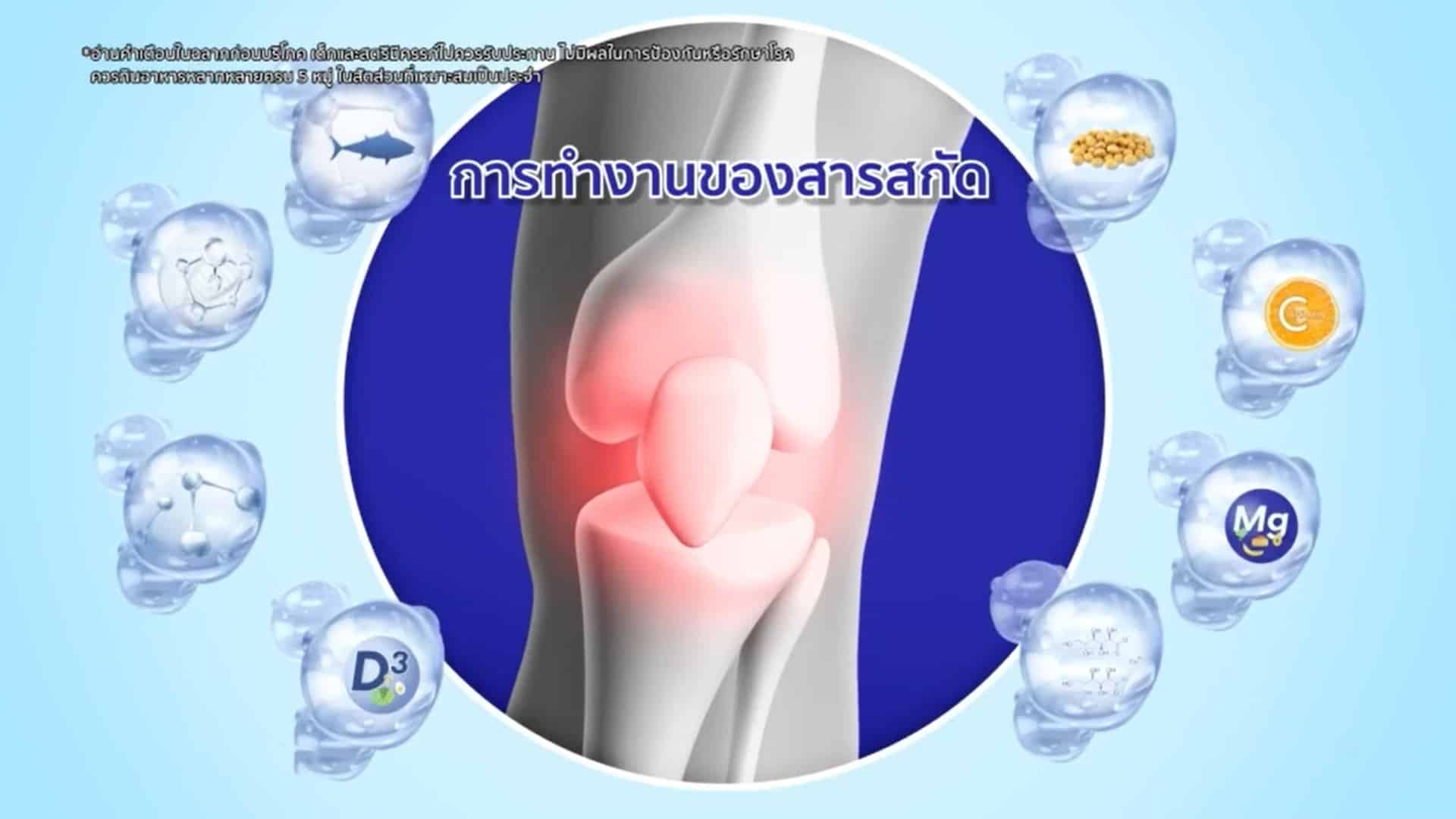 มาตรฐานการรับรอง Well u Collagen Type II