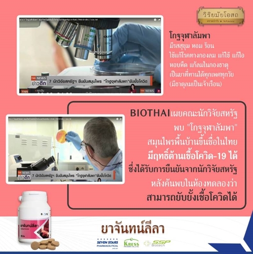 วิริยมัยโอสถ ยาจันทน์ลีลา ตัวร้อน เป็นไข้ ไข้ทับระดู ปวด ปวดศีรษะ ไวรัส โควิด19 บำรุงตับ ไม่เป็นพิษต่อตับ 60เม็ด