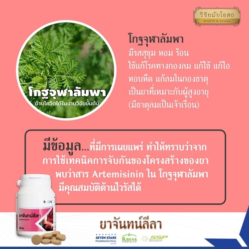 วิริยมัยโอสถ ยาจันทน์ลีลา ตัวร้อน เป็นไข้ ไข้ทับระดู ปวด ปวดศีรษะ ไวรัส โควิด19 บำรุงตับ ไม่เป็นพิษต่อตับ 60เม็ด