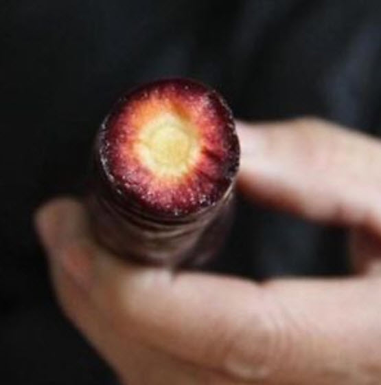 แครอท (Carrot) สีม่วง / 500 เม็ด