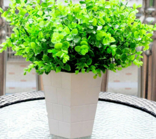 โคลเวอร์ (Clover) สีขาว / 200 เม็ด (China)