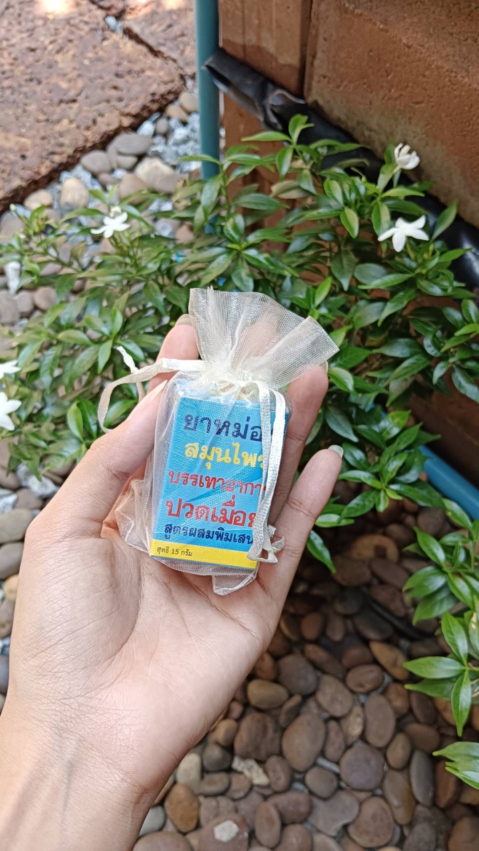 ยาหม่องสมุนไพร หงส์ไทย