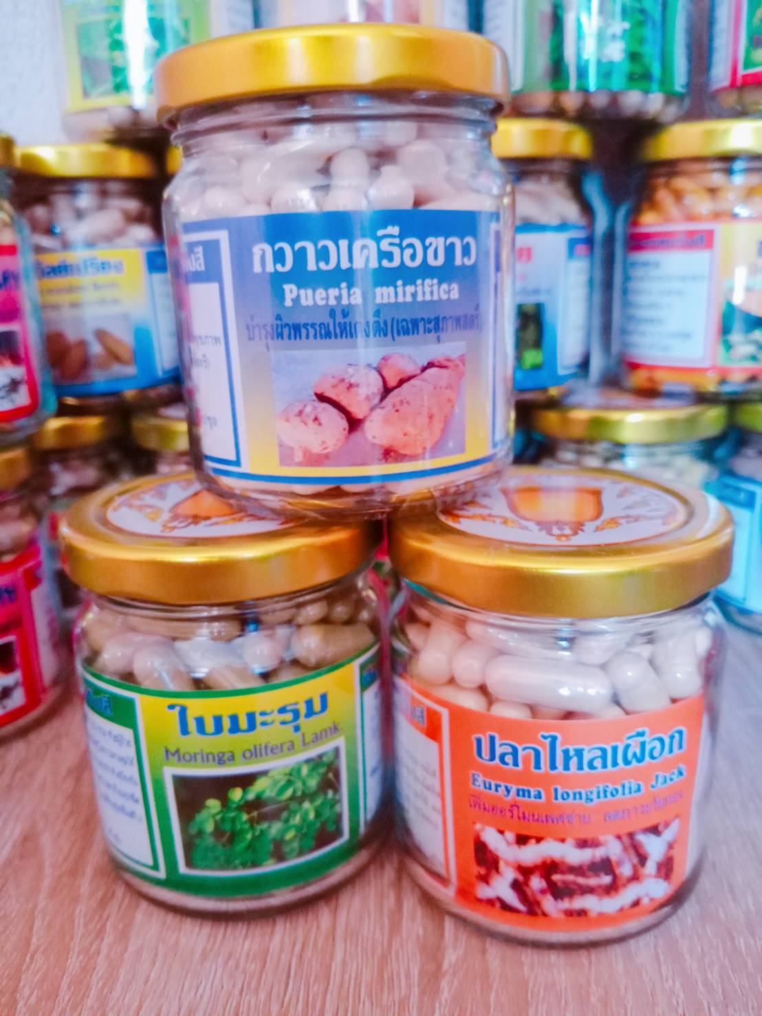 ปลาไหลเผือก พรหมรังสี