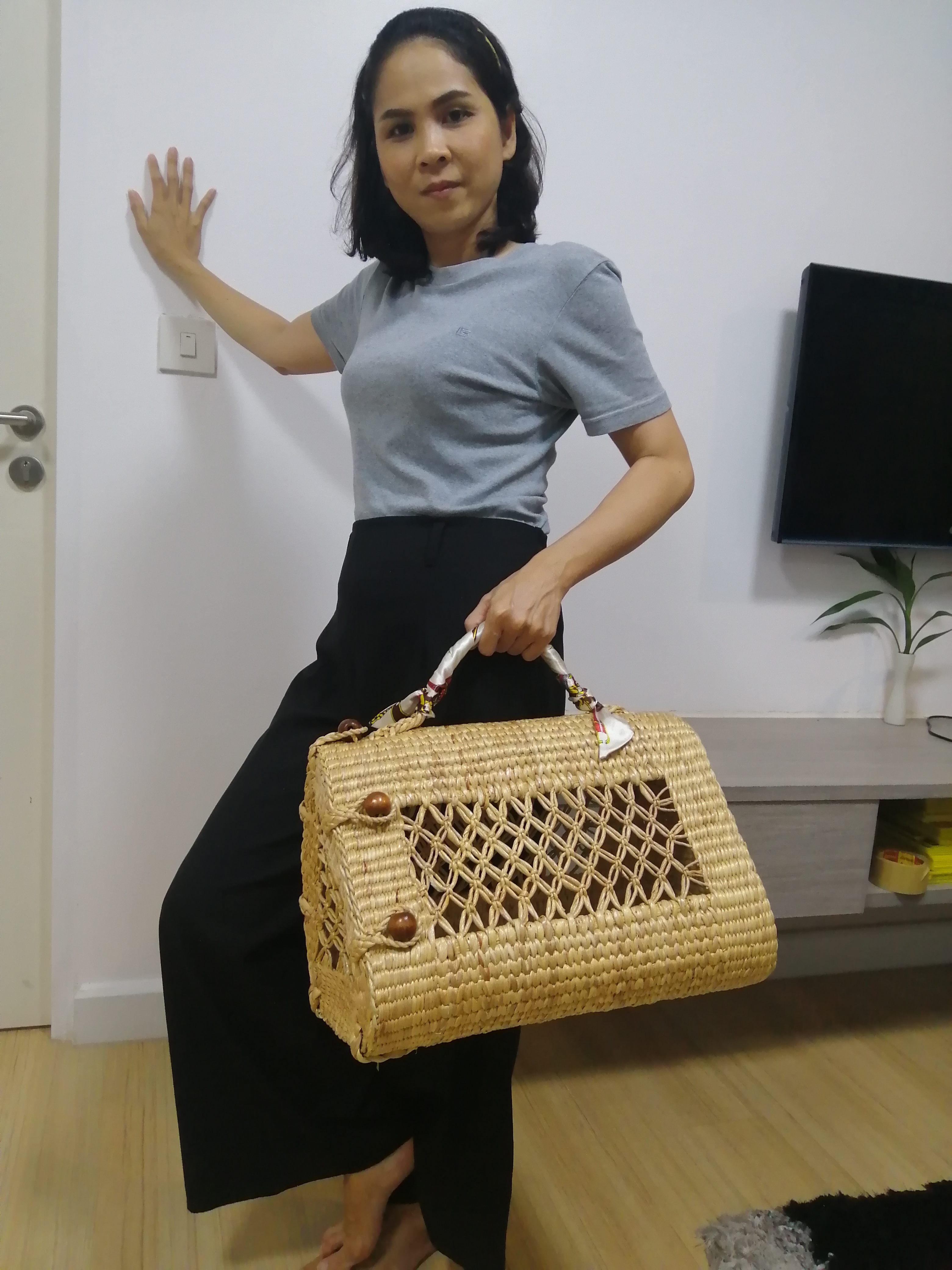 BSS502A :กระเป๋าแมว, กระเป๋าเดินทางแมว ราคาส่ง 3 ใบ